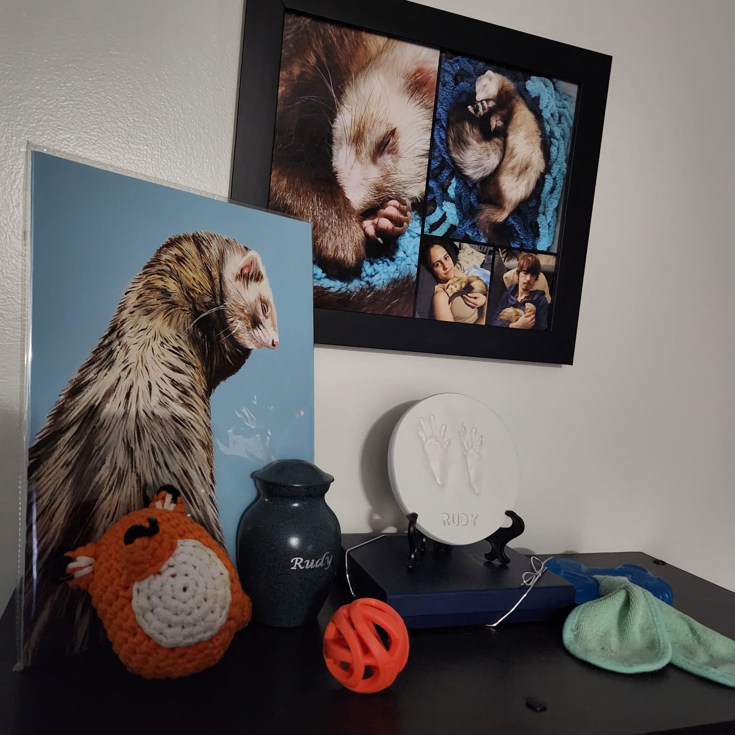 Customer photo review of Custom Pet Painting