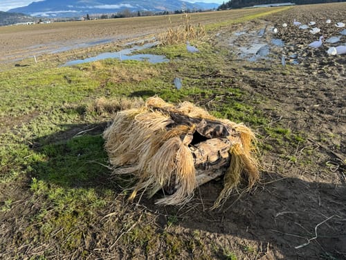 Customer photo review of Hunting Blind Raffia Grass (Pack)
