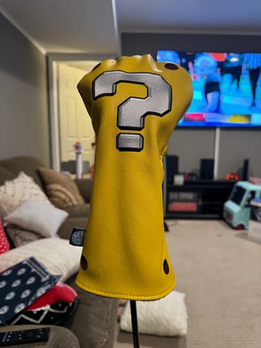 Customer photo review of QUESTION BLOCK HEADCOVER
