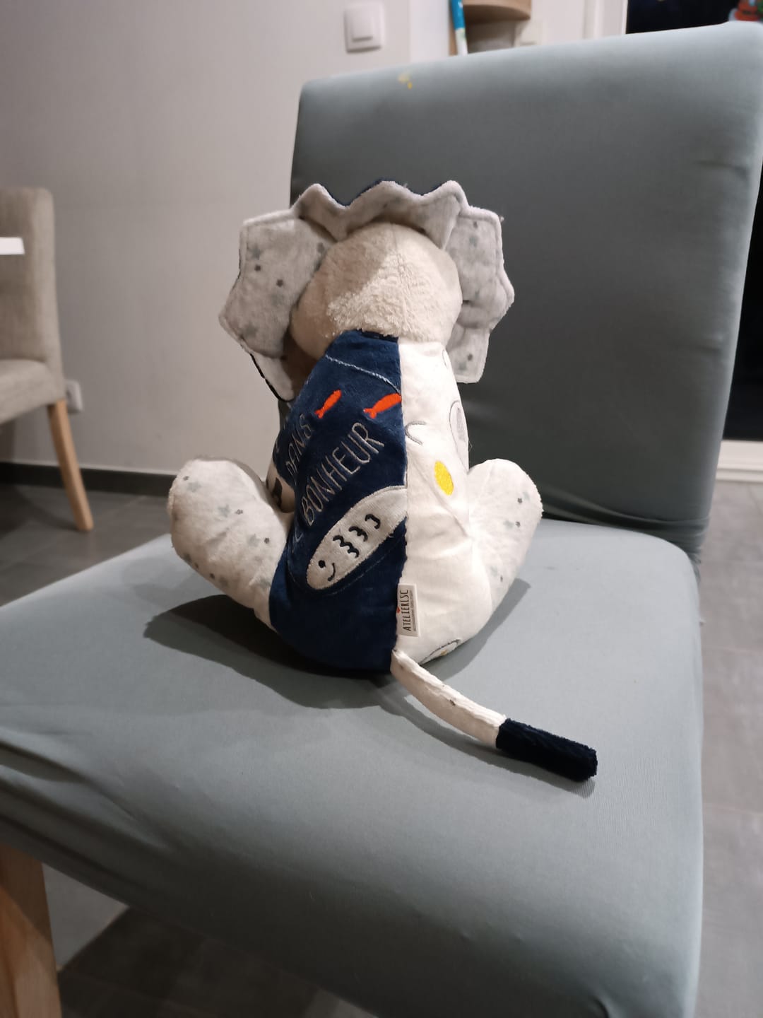 Customer photo review of Lion en peluche souvenir