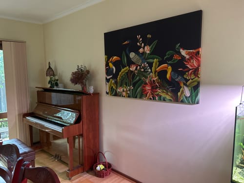 Customer photo review of Birds of the Forest