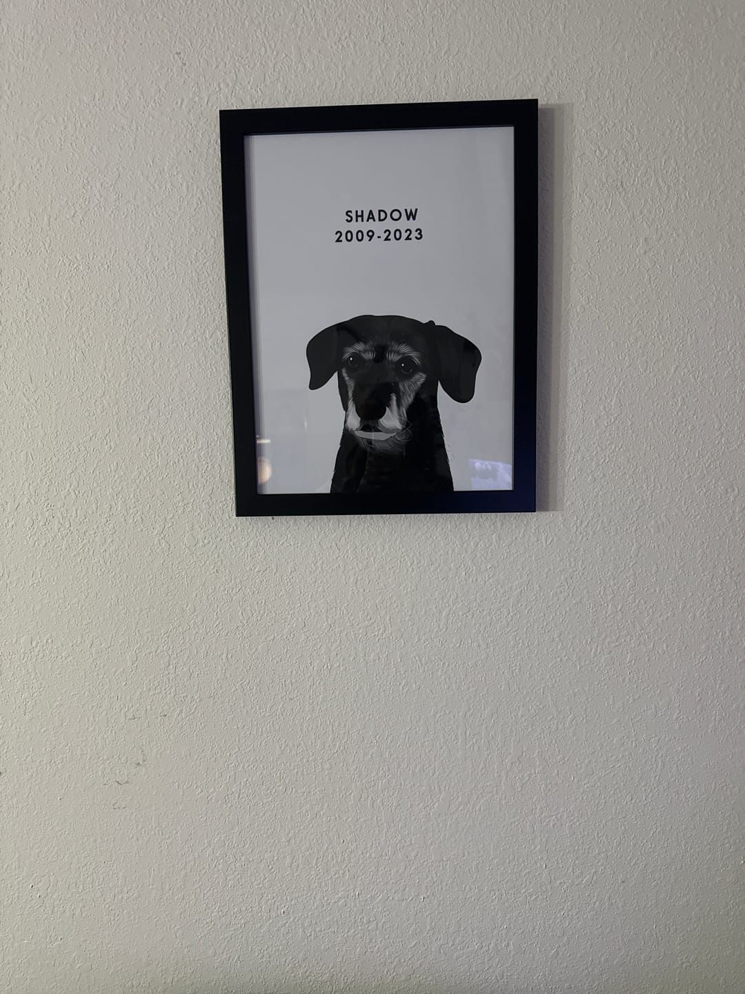 Customer photo review of Custom Memorial Pet Portrait
