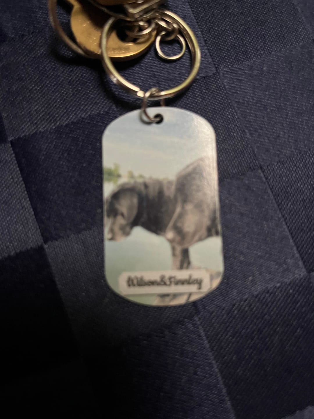 Customer photo review of Doppeltes Foto - Individueller Dog Tag Schlüsselanhänger