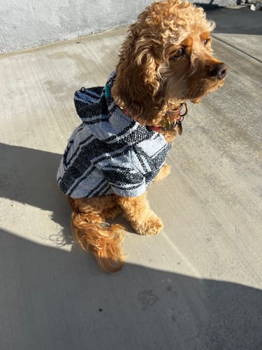 Customer photo review of Playa Poncho - Surprise Color