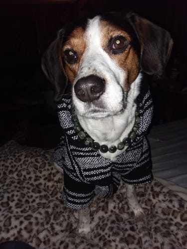 Customer photo review of Playa Poncho - Surprise Color