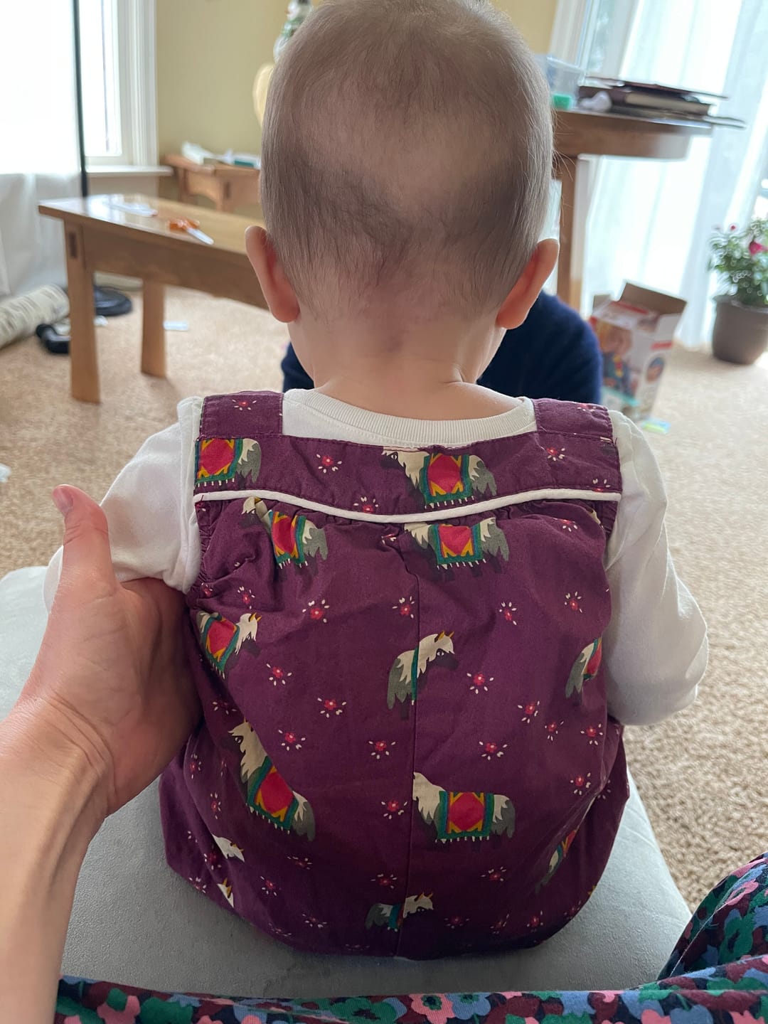 Customer photo review of Nordic Horses Playdays Dungarees