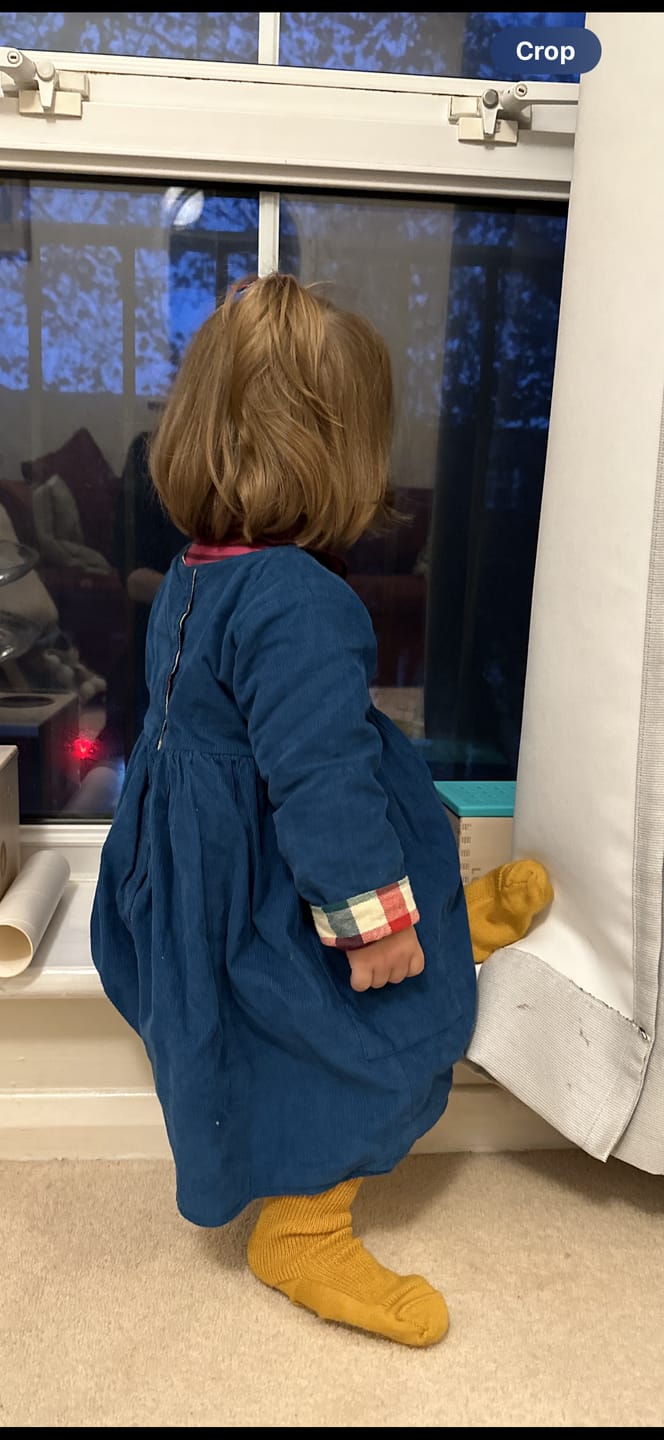 Customer photo review of Deep Blue After Day Reversible Corduroy Pocket Dress