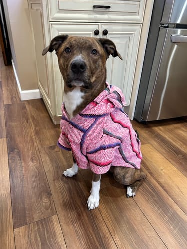 Customer photo review of Playa Poncho - Surprise Color