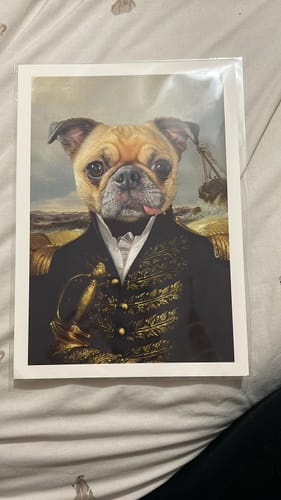 Customer photo review of The Commodore - Custom Pet Portrait