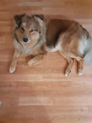 Customer photo review of Boxed "Candy" Treats