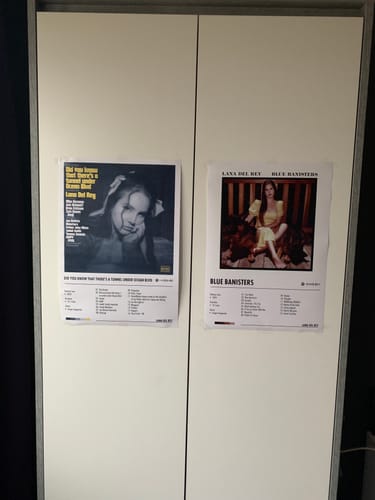 Customer photo review of Lana Del Rey - Blue Banisters | Album Cover Poster
