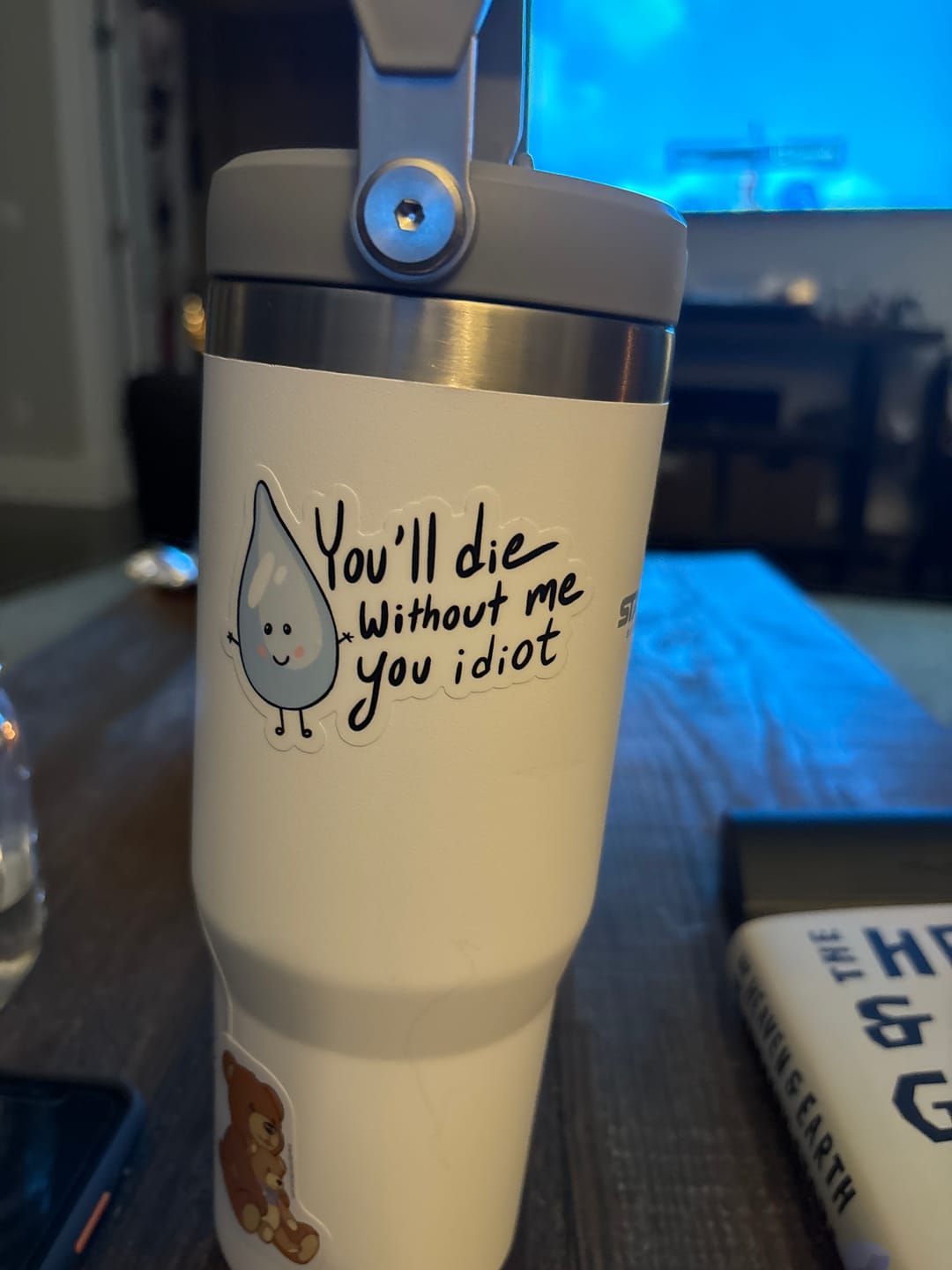 Customer photo review of "You will die without me you idiot" water sticker