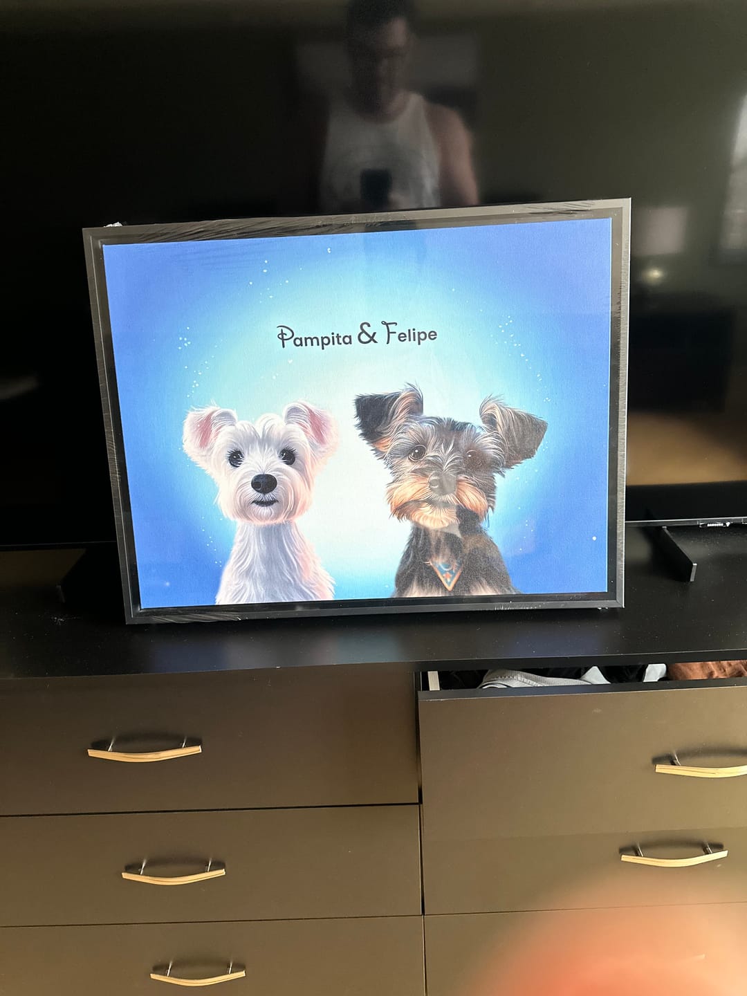 Customer photo review of Custom Pet Portrait - 2 Pet