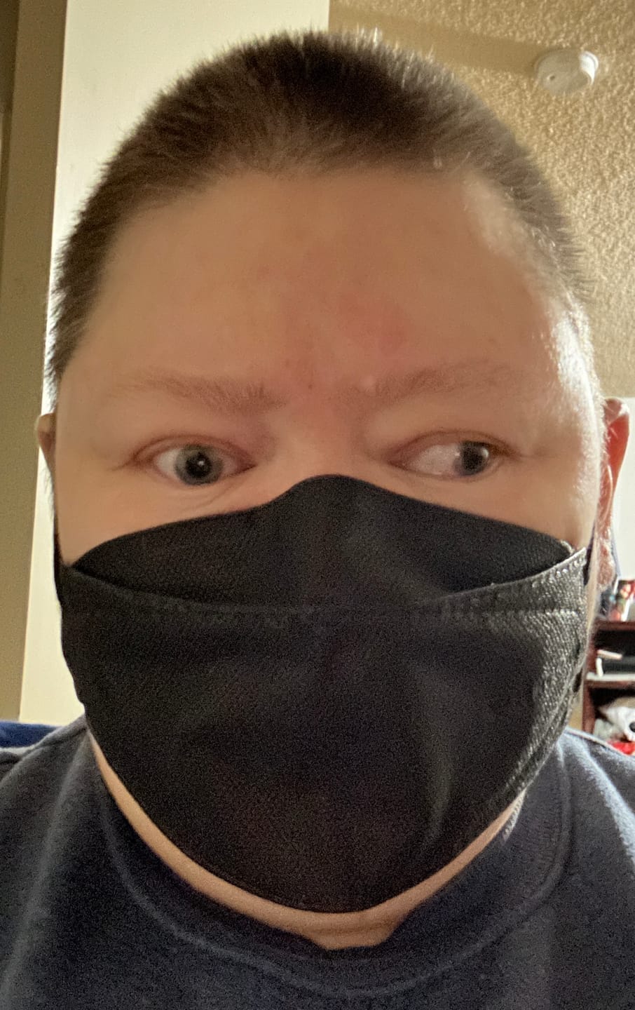 Customer photo review of N95 Respirator Face Mask Made in Canada (Large)
