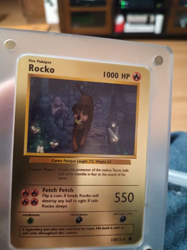 Customer photo review of Pokepet