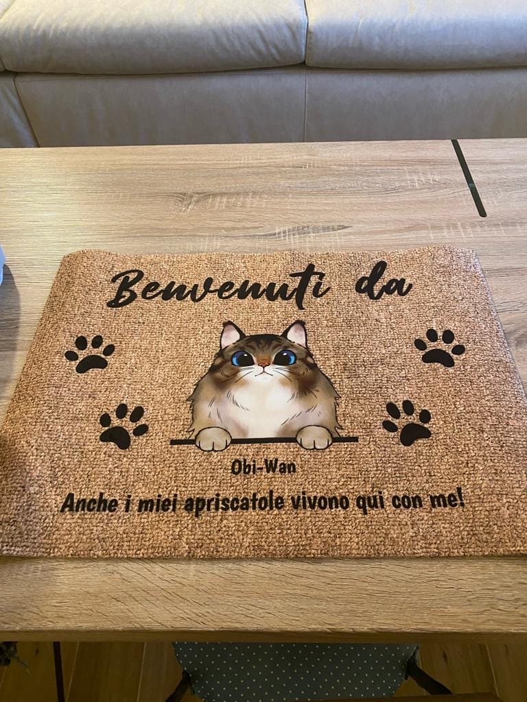 Customer photo review of Benvenuti da gatti curiosi - Zerbino personalizzato