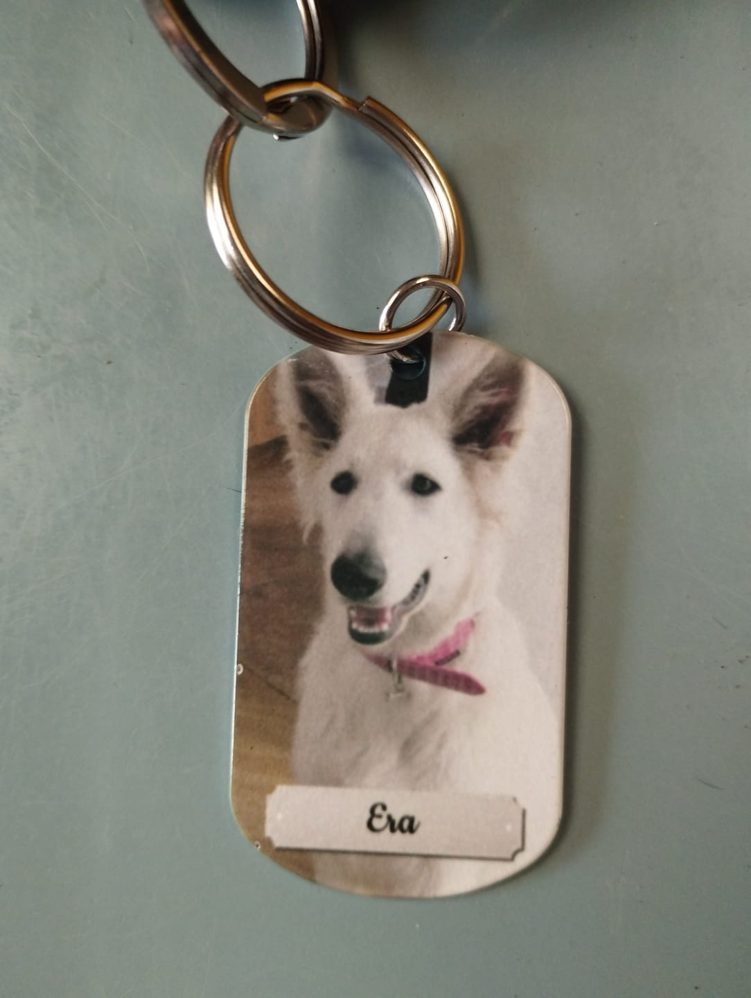 Customer photo review of Photo double face - Porte-clés Dog Tag personnalisé
