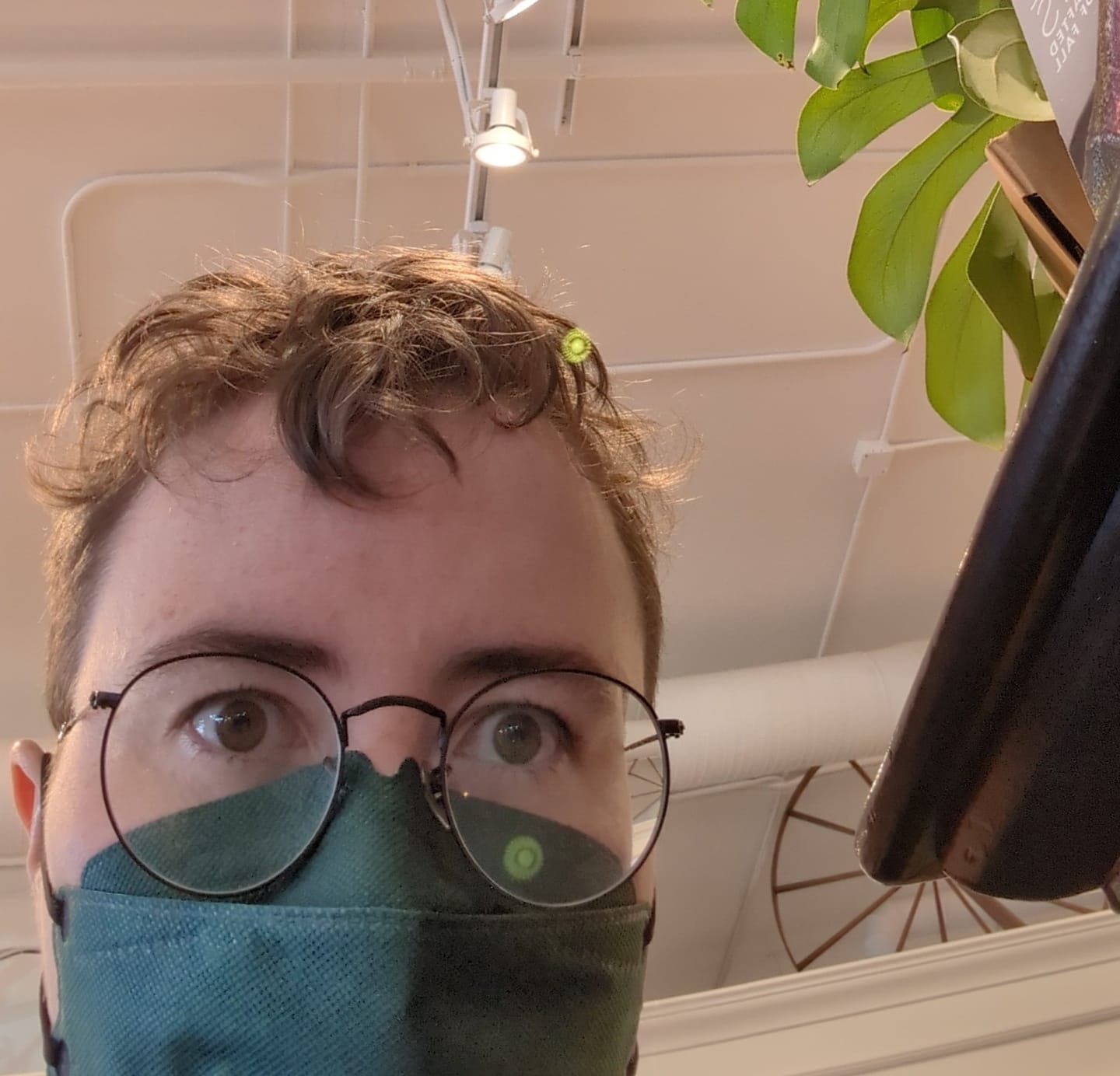 Customer photo review of Kind KN95 Respirator Face Mask: The Rich Collection