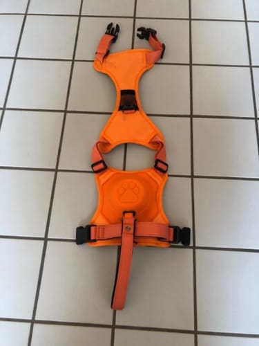 Kundenbewertung mit Foto zu ActivePup | das Hundegeschirr mit integrierter Leine