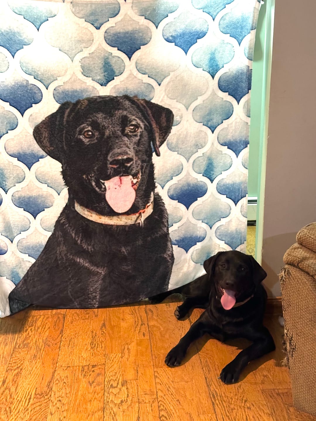 Customer photo review of Custom Pet Art Fleece Blanket