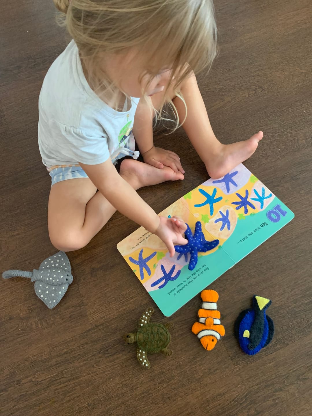 Customer photo review of Australia Under the Sea 1, 2, 3 by Frané Lessac - Book and Finger Puppet Set