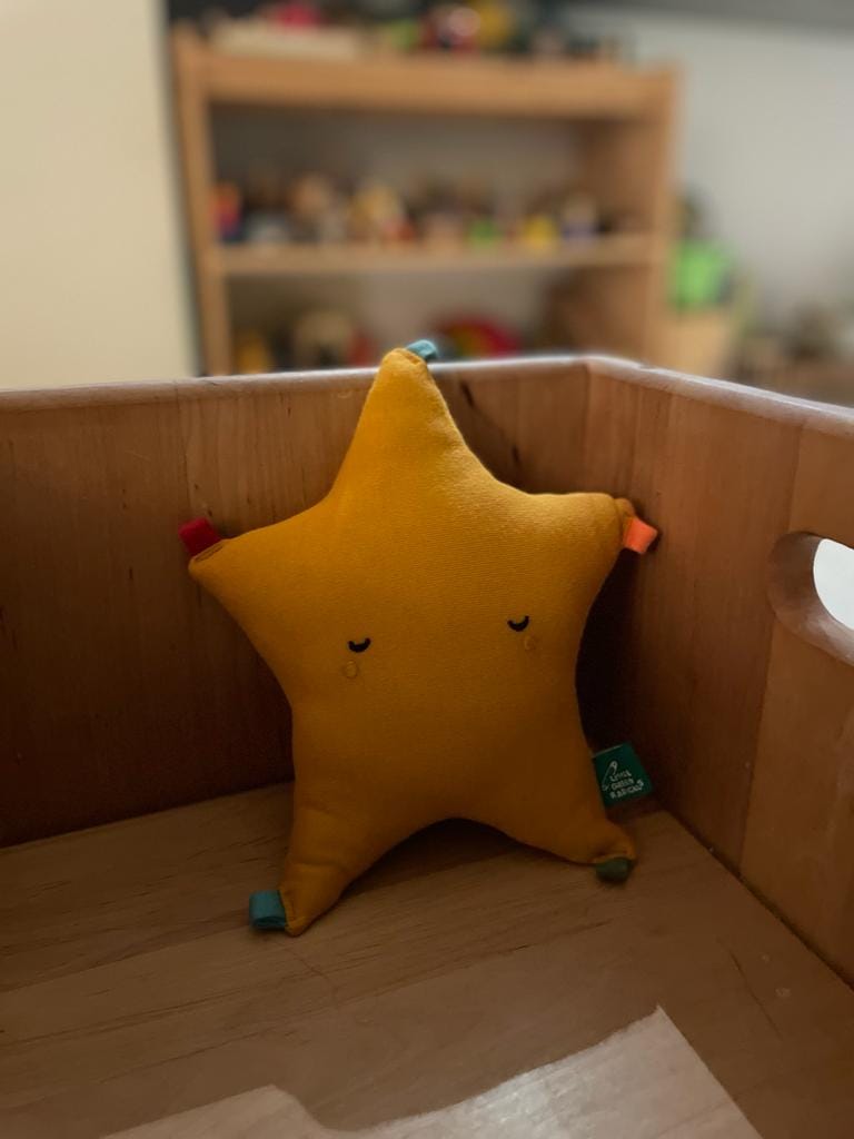 Customer photo review of Starry Night Organic Soft Toy