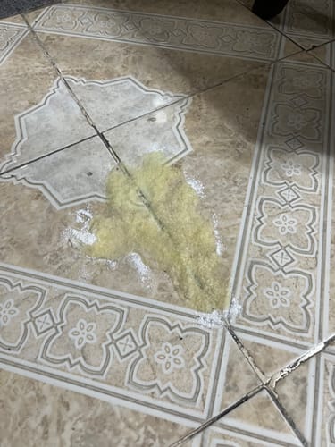 Customer photo review of Combo de Limpieza ( Oh My Dog + Recogedor)