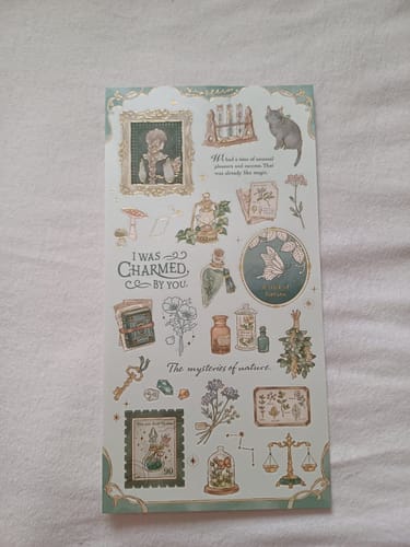 Customer photo review of Mind Wave Choupinet Stickers