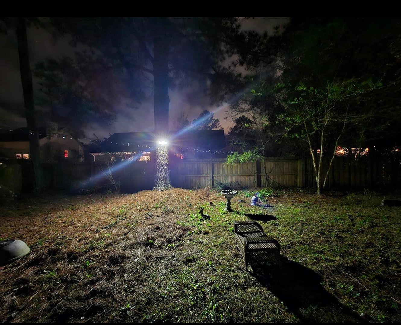 Customer photo review of SolaGarden™ 3 Head Motion Light