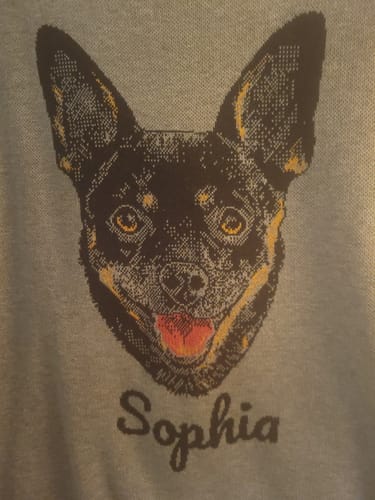 Customer photo review of Portrait Only Pet Custom Sweater
