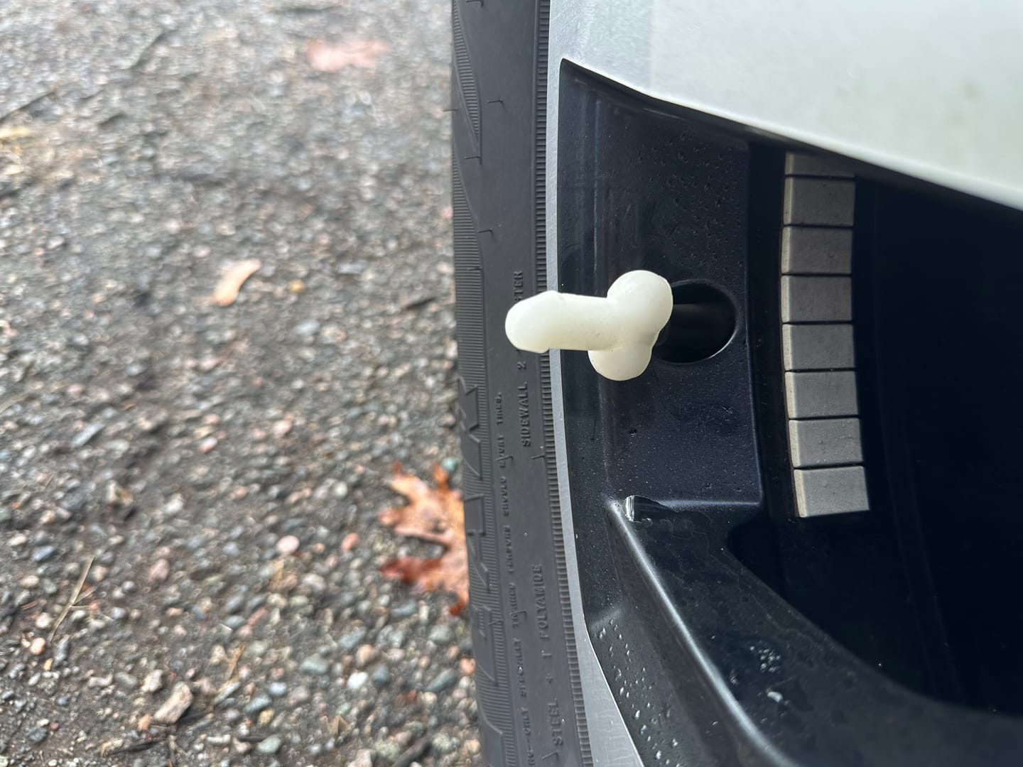Customer photo review of Tirecockz Prank Dick Shaped Valve Stem Caps