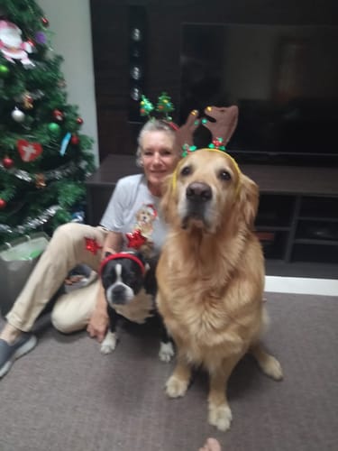 Customer photo review of Santa Retriever