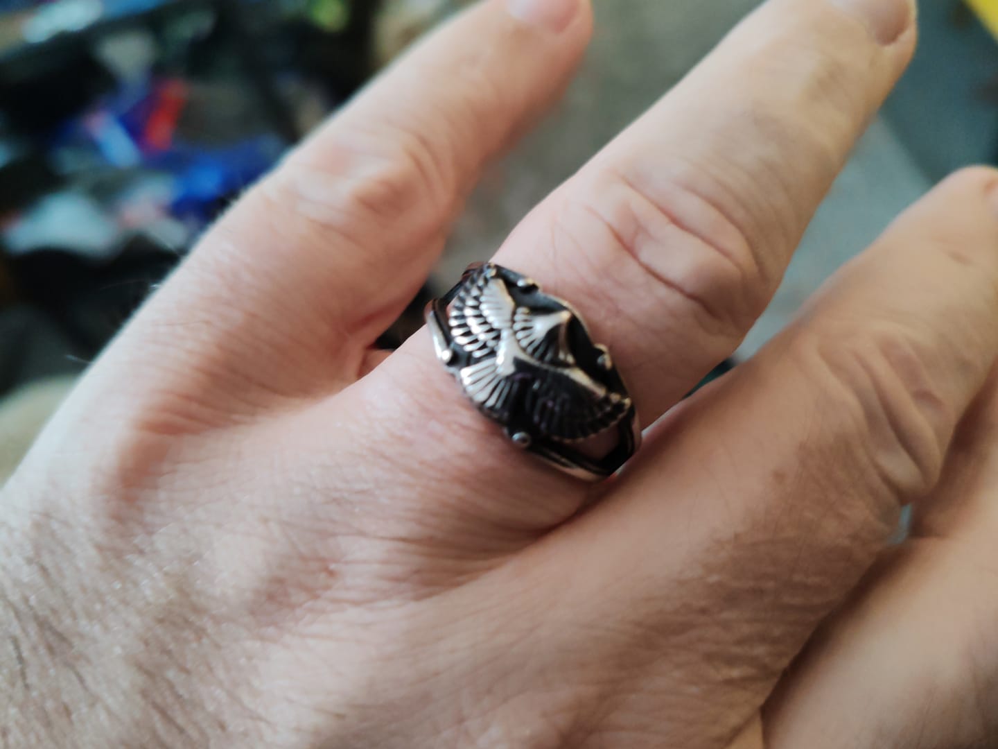 Customer photo review of Free As Bird.