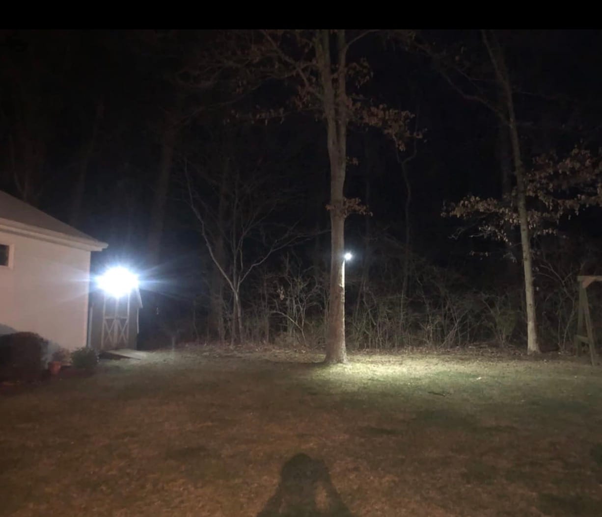 Customer photo review of SolaGarden™ 3 Head Motion Light