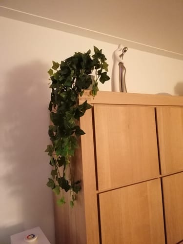 Customer photo review of Hedera Kunst Hangplant 110cm