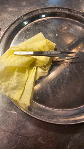 Customer photo review of Small Straight SuperFine Tweezers