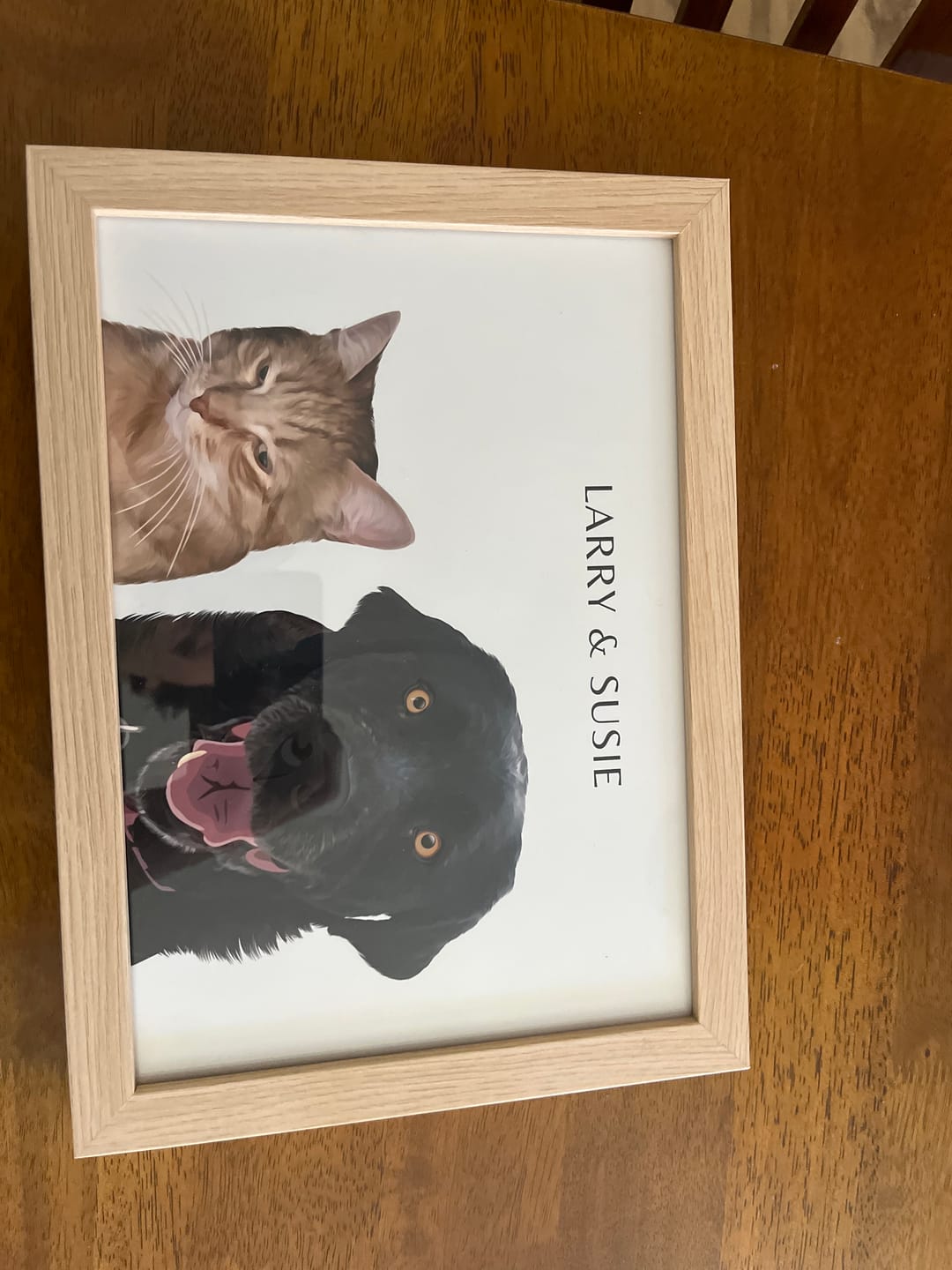 Customer photo review of Two-Pet Portrait
