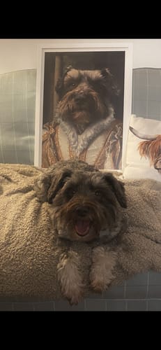 Customer photo review of The Princess - Custom Vintage Pet Portrait