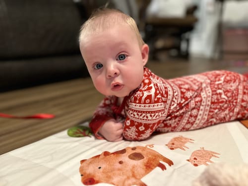 Customer photo review of On The Farm · Maxi