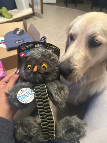 Customer photo review of Wibbleez - Stretch & Squeak