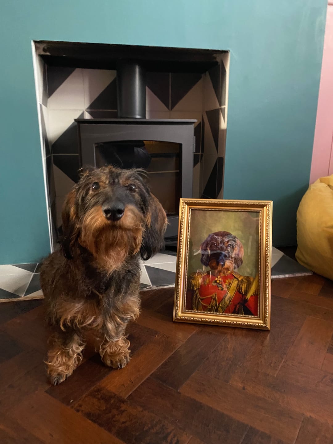 Customer photo review of The Duke: Custom Pet Portrait