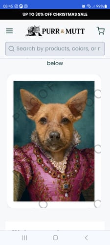 Customer photo review of The Countess - Custom Vintage Pet Portrait