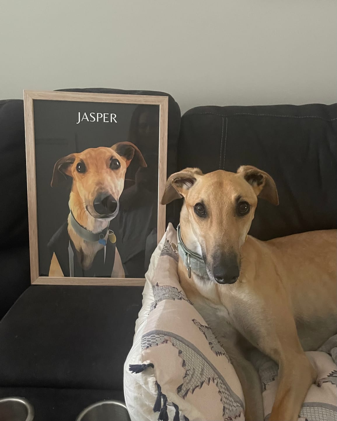 Customer photo review of One-Pet Portrait
