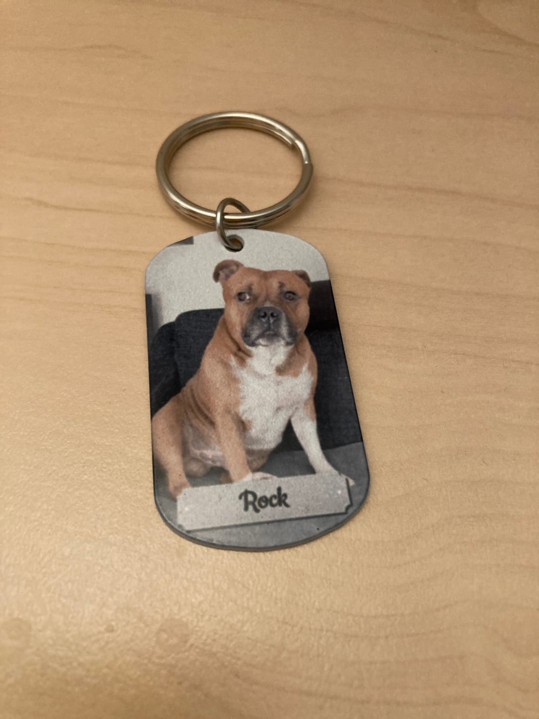 Customer photo review of Photo double face - Porte-clés Dog Tag personnalisé