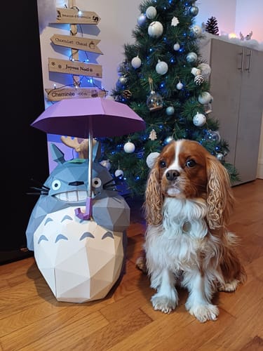 Customer photo review of Patrons Totoro (pdf)
