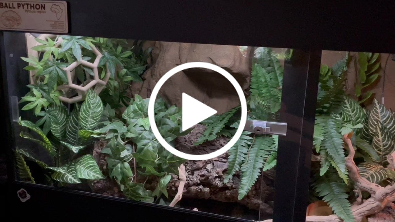 Customer video review of 60"x24"x36" / 5'x2'x3' Premium PVC Reptile Enclosure