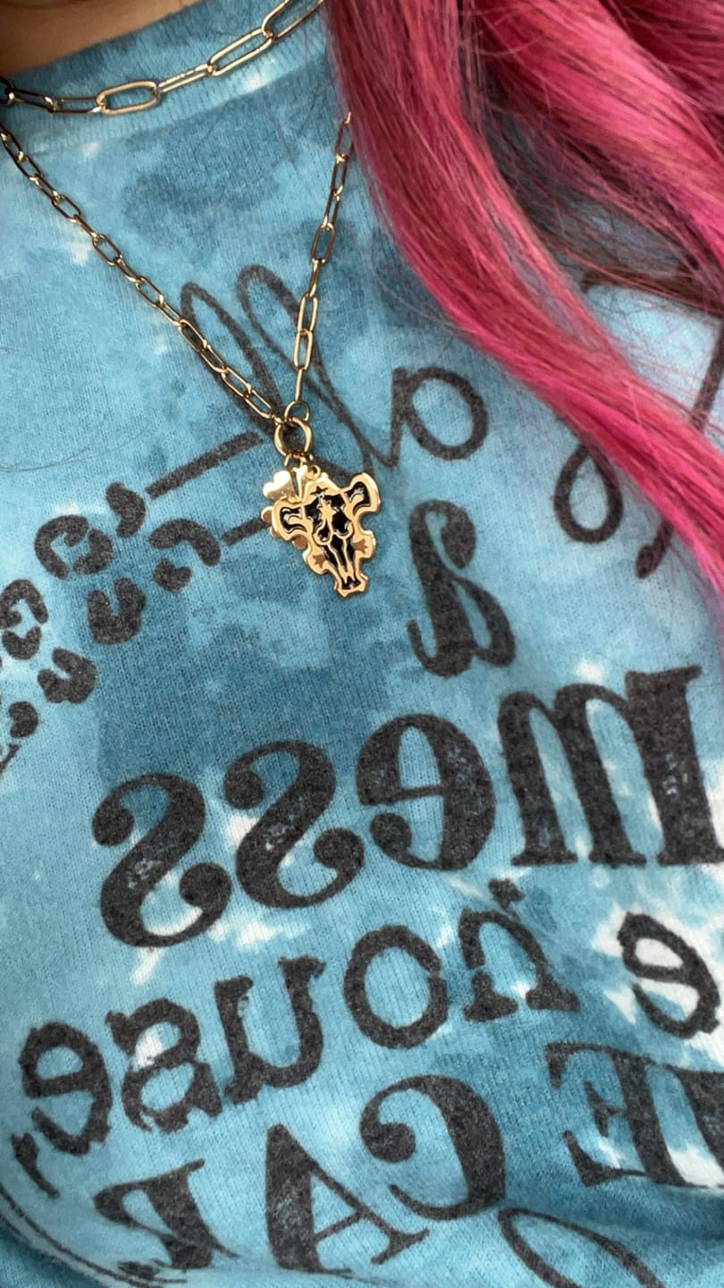 Customer photo review of Black Bulls Charm