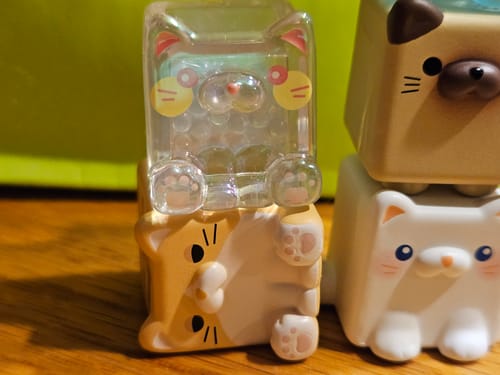 Customer photo review of Square Cat Series Blind Bag