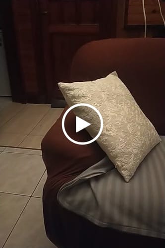 Customer video review of Marron - Housses Extensibles de Fauteuil et Canapé
