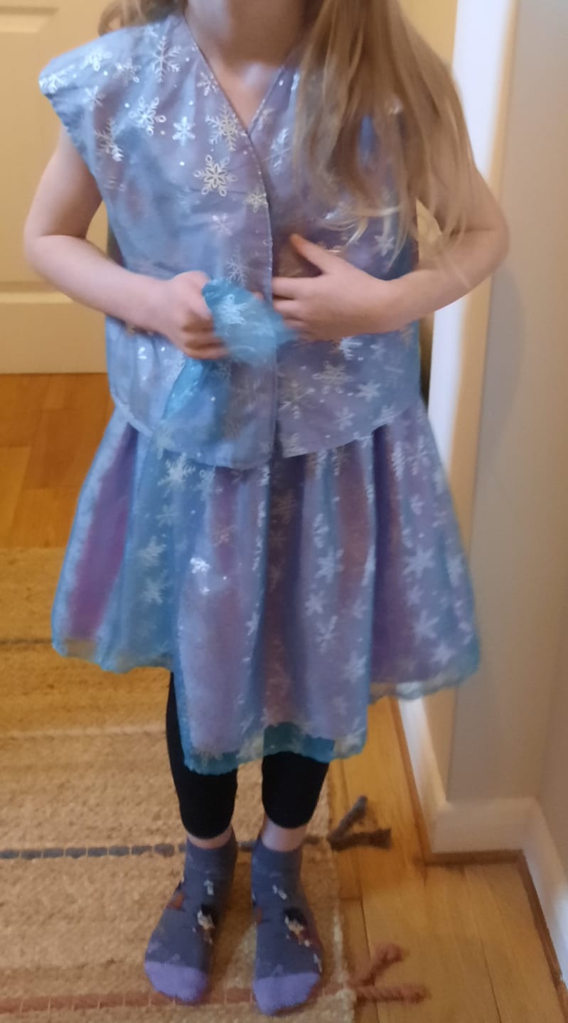 Customer photo review of Snowflakes Organza Fabric
